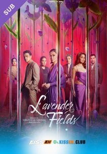 Lavender Fields